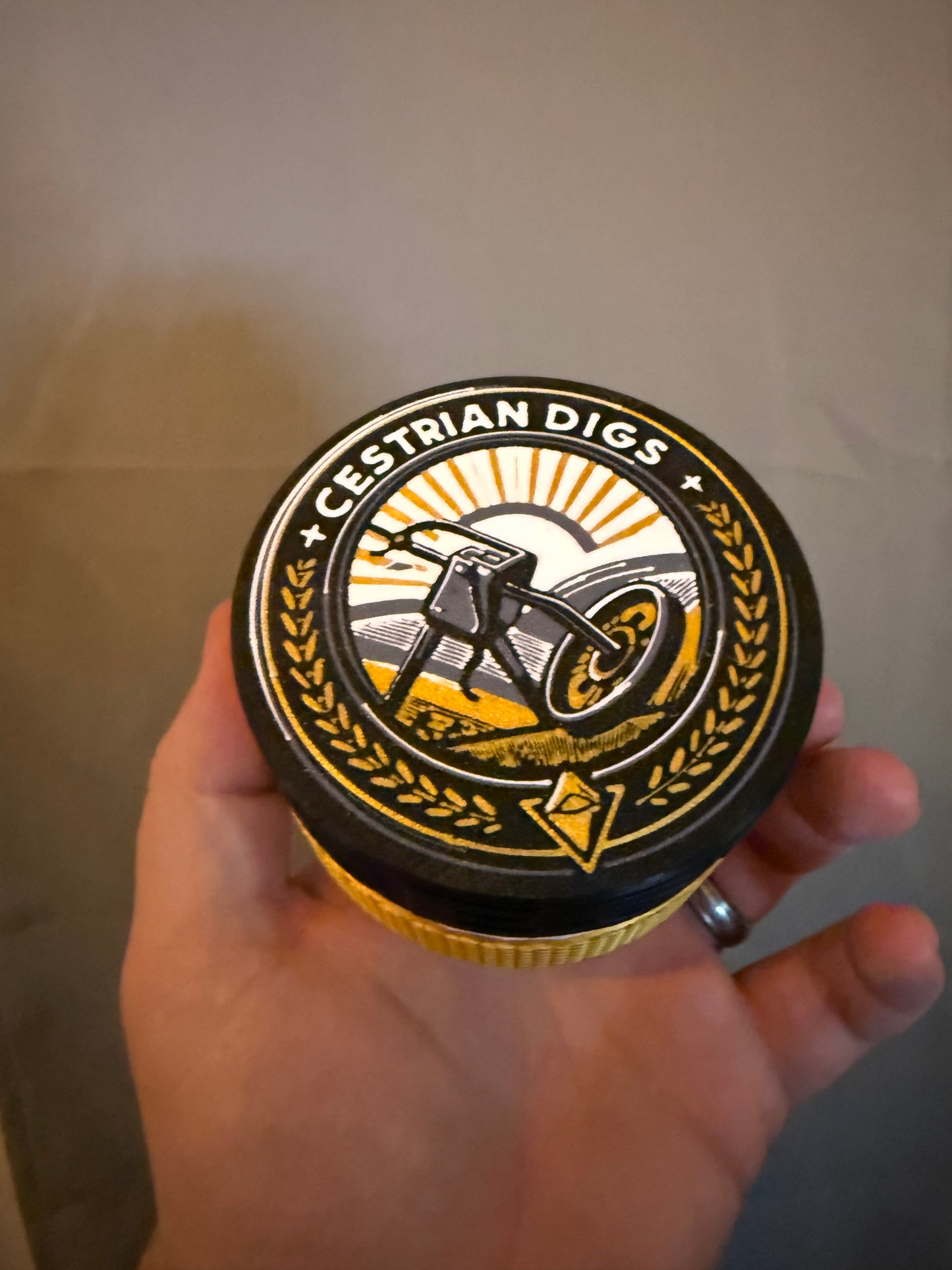 Custom Coin Case (Standard Size)
