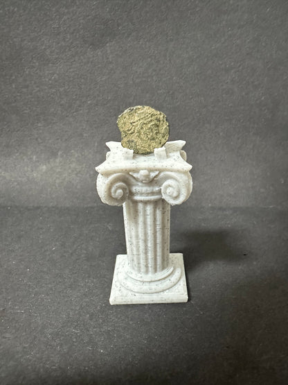 Roman Column Coin Stand